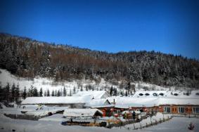 黑龙江暴雪取消航班及关闭客运站