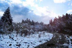 彭水摩围山下雪了吗，彭水摩围山海拔多少米