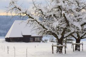 大雪节气哪些地方下雪，大雪有哪些风俗活动