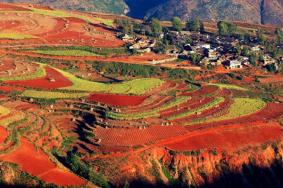 东川红土地最佳旅游时间是几月份，附红土地拍摄攻略