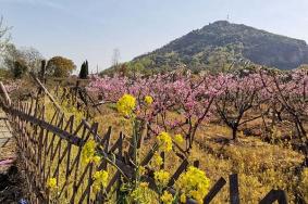 无锡阳山桃花源景区门票多少钱交通出行指南