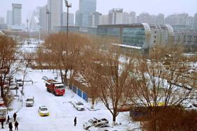 沈阳什么时候下雪，沈阳今年冷吗