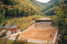 宁海安岚温泉酒店多少钱一晚，住宿攻略