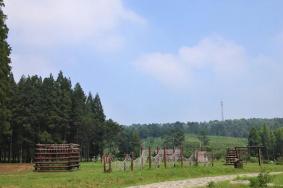 南京平山森林公园樱花美食节时间交通及门票