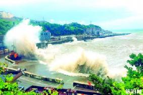 暴雨台风双预警哪些城市