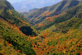 太原小店区东山地区封山禁火时间及范围