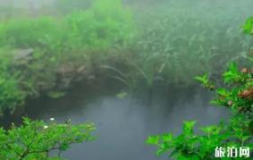 雨天怎么拍摄，雨天拍摄技巧介绍