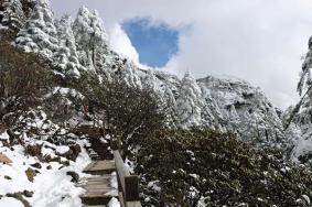 昆明轿子雪山景区门票恢复原价门票优惠政策