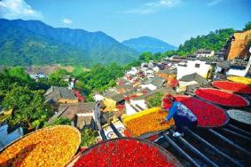 婺源篁岭门票优惠政策，篁岭旅游最佳时间