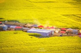 全国赏花地图，国内春季赏花哪里好