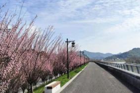 萧山去哪里赏花，萧山赏花好去处